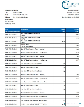 Download Belize Choice Bank statement excel Photoshop template